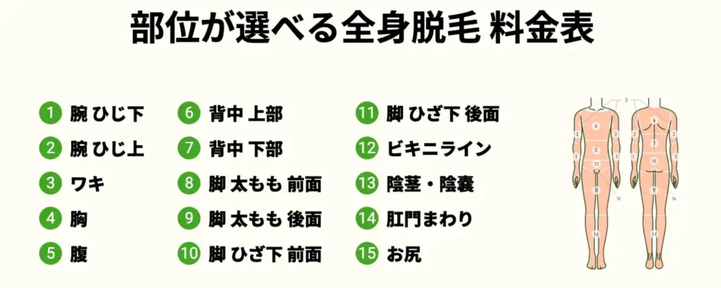 メンズルシア_全身選べる3部位プラン