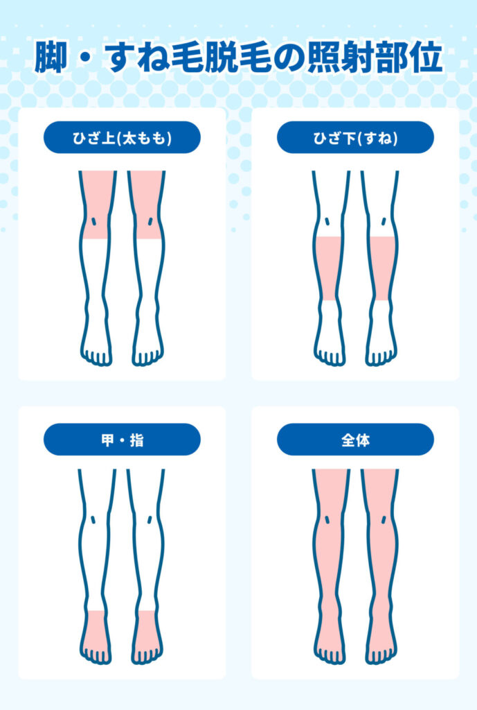 メンズ脱毛_脚脱毛の照射部位